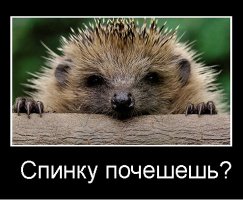 Продборка разных картинок из сети
