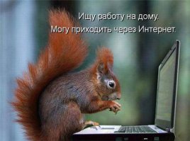 Продборка разных картинок из сети