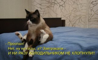 Продборка разных картинок из сети