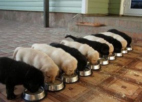 Заголовок не соврал :) Действительно местами пробирает на эмоции! Отличная подборка.
P.S. Маленькое здевательство над перфекционистами :)