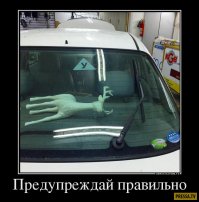 Свежая подборка автоприколов