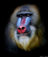 Тренды макияжа на 2017 год