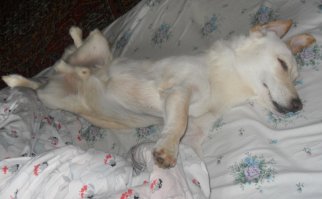 Одно фото - жена ушла на работу (строгая хозяйка), второе - я ушёл в магазин (лучший друг). Угадайте где какое ;)