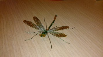 Н-да, мой и близко не дотягивает. Вот стрекоза получше вышла.