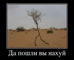 Казусы природы - деревья