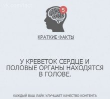 Если вдруг стало грустно, то подумайте про осьминога. У него и ноги от ушей, и руки из жопы, и жопа с ушами, и голова в жопе… и ниче, не жалуется)))