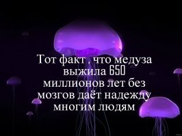 Интересные факты в картинках