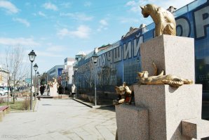 Сквер сибирских кошек в Тюмени. Всего из Сибири в Ленинград было отправлено около 5 тысяч котов и кошек.
