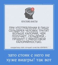 Интересные факты в картинках