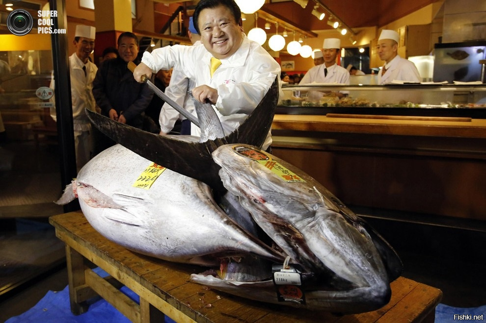 5 января 2013  на оптовом рыбном рынке Цукидзи, Токио, Япония, состоялся традиционный аукцион, на котором был продан голубой тунец за рекордную сумму. Рыба весом 222 кг была выловлена у берегов префектуры Аомори. Счастливым обладателем дорогостоящего тунца стала сеть ресторанов Kiyomura, заплатившая за него $1,8 млн. В тот же день самый дорогой тунец в мире был разделан и подан гостям одного из ресторанов. Источник: