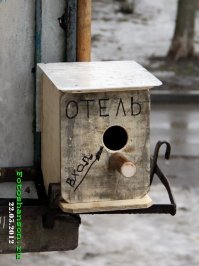 У птиц все как у людей: увидев такие скворечники, я почему-то захотел стать птицей