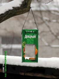 У птиц все как у людей: увидев такие скворечники, я почему-то захотел стать птицей