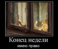 Вот как они ждут нас