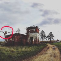 Аномалии аномалиями, но стесняюсь спросить, а это кто или что?