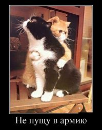 У этого солдата явно серьезные проблемы со строевой подготовкой