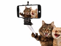 Прикольные автопортреты (то есть селфи) животных