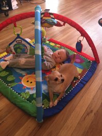 Мои девочки