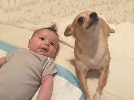 Мои девочки