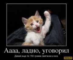 Простите-извините! Этот котенок всегда выглядит так, будто очень сожалеет о чем-то