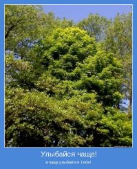 Добавлю маленько)