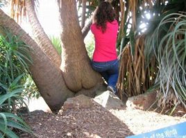 Добавлю маленько)