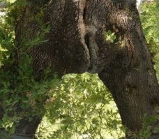 Добавлю маленько)