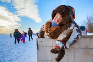 хозяин тундры...