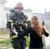 Жалко кота. 

Вот этим котам повезло больше. Их спасли :