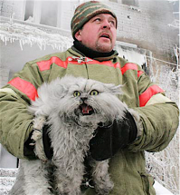 Жалко кота. 

Вот этим котам повезло больше. Их спасли :