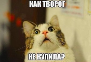 Простите-извините! Этот котенок всегда выглядит так, будто очень сожалеет о чем-то