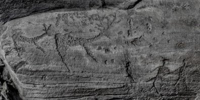 Зимний поход на гору "Куня"