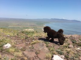 Зимний поход на гору "Куня"