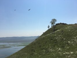 Зимний поход на гору "Куня"