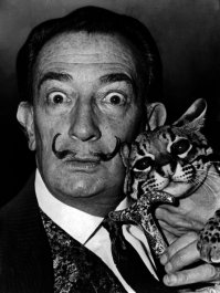 Котики и их мужчинки