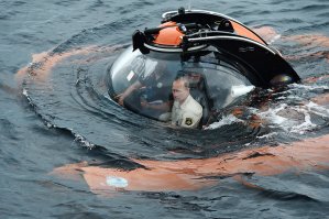 Так вот за чем он нырял