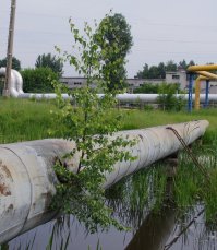 Эта тема мне знакома.