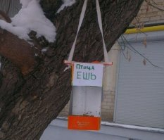 У птиц все как у людей: увидев такие скворечники, я почему-то захотел стать птицей