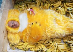 Слышно и видно - говорят, на новогоднем огоньке по-прежнему показывали Моисеева (его старую песню). Ну и что, что он сам не вылазит, его на экраны "вылазят"