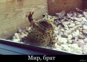 Ужас в подвале