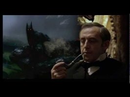 Черная пантера пугает жителей Британии