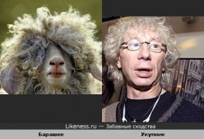 С Укупником даже у барана есть.