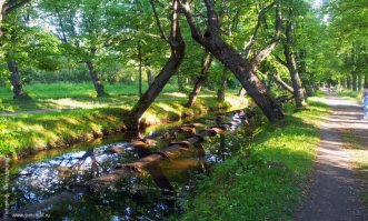 трубопровод фонтанной системы петергофа. 
да, да. с тех самых пор и работают