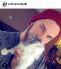 Автор, Ваши котики на любителя 
Мне больше нравятся эти милые котики ))) Девочки, кому котяток- сюда