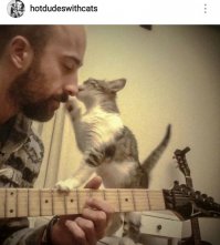 Автор, Ваши котики на любителя 
Мне больше нравятся эти милые котики ))) Девочки, кому котяток- сюда