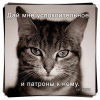 Почему люди в интернете такие злые?