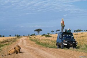 Черная пантера пугает жителей Британии