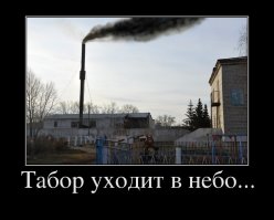 Грибы и цыгане