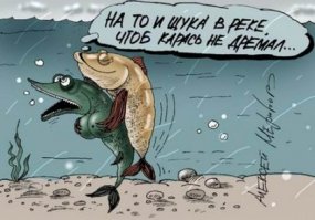 Кого бы еще красиво окарасить?