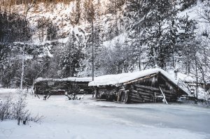 Там таких бассейнов рядышком аж две штуки: Тальков камень и Новая линза. Так что с покупаться нормально всё.
А вообще, с месяц назад на старой сломался насос, так что сейчас её потихоньку заливает льдом..