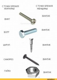 Брехня всё это. Нет, современная молодежь тупая, охотно верю. Я и винтики различаю и знаю, чем болгарка от корейки отличается.